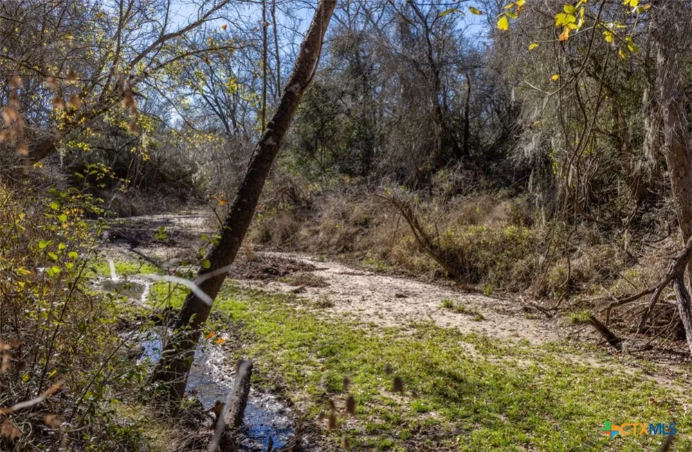 County Road 284 Edna, TX 77957
