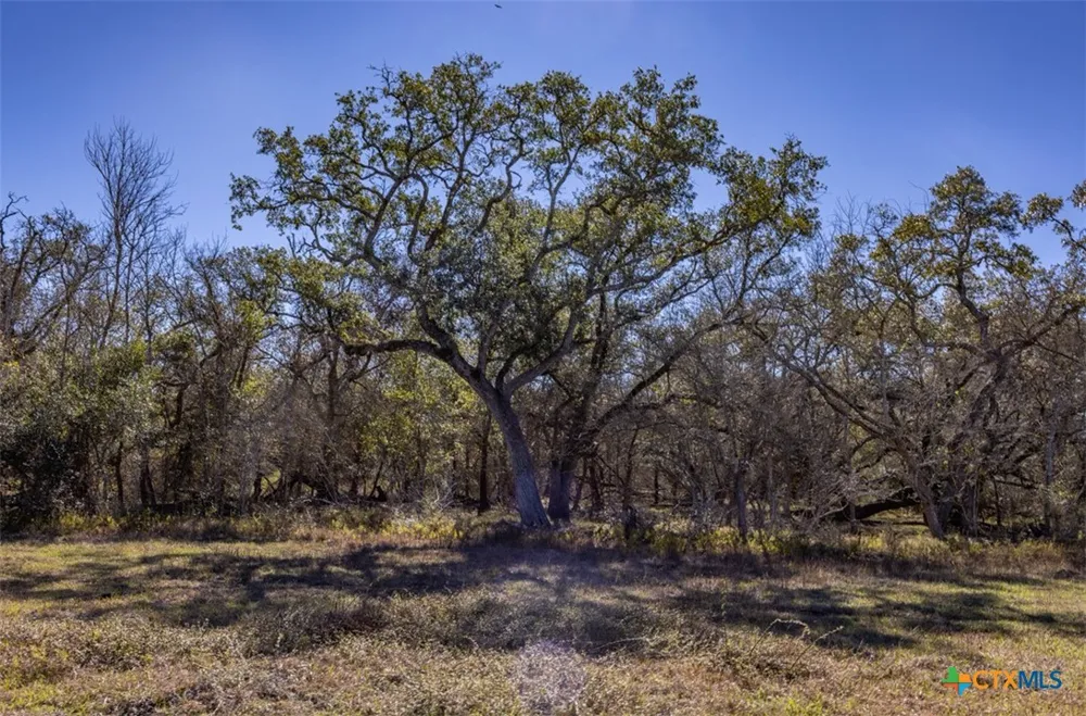 County Road 284 Edna, TX 77957