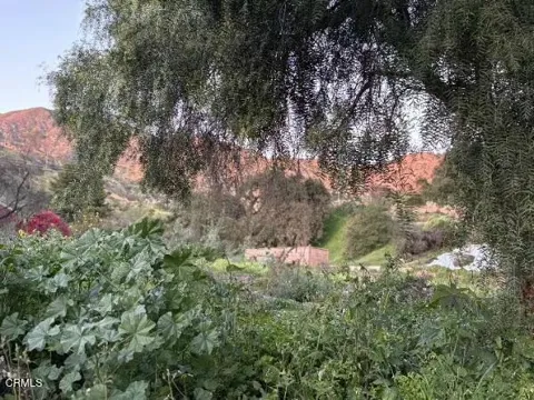 Jaxine Drive
