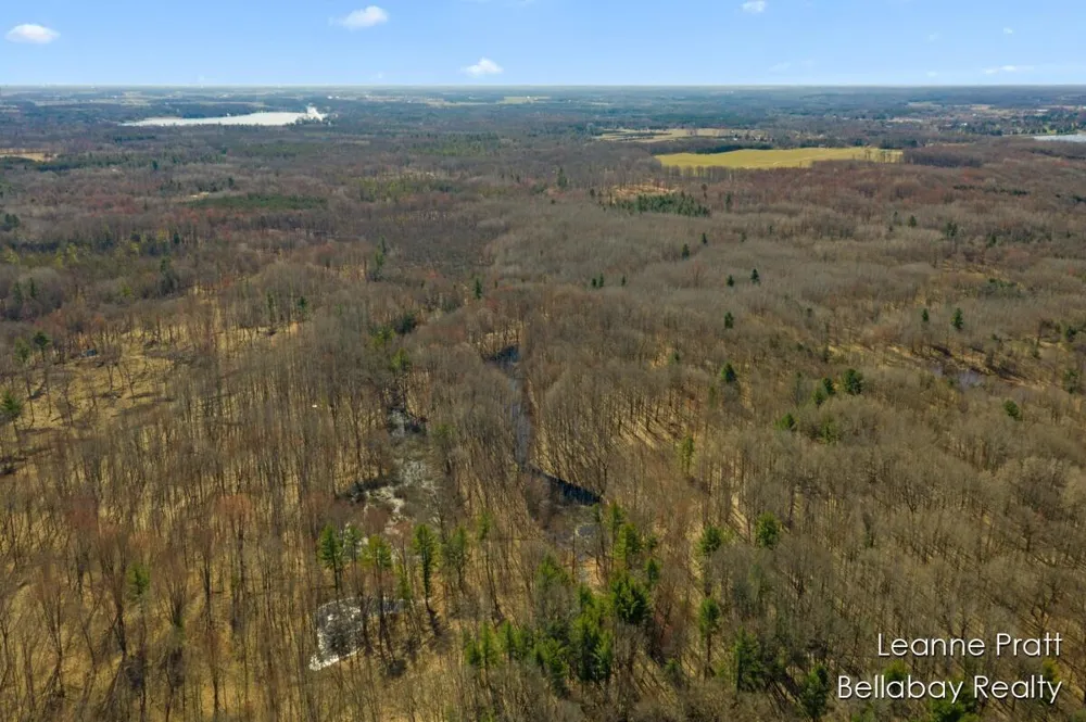 W Weidman Road Weidman, MI 48893