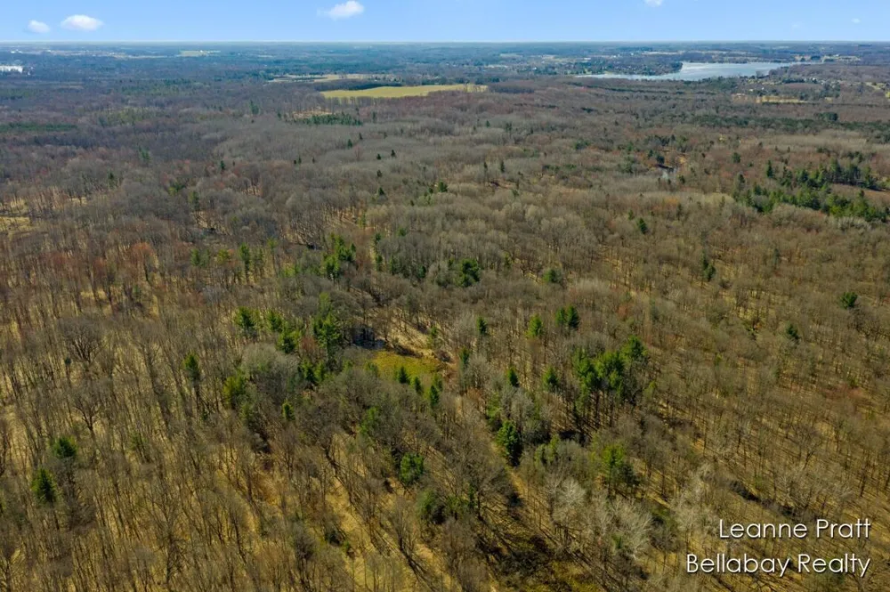 W Weidman Road Weidman, MI 48893