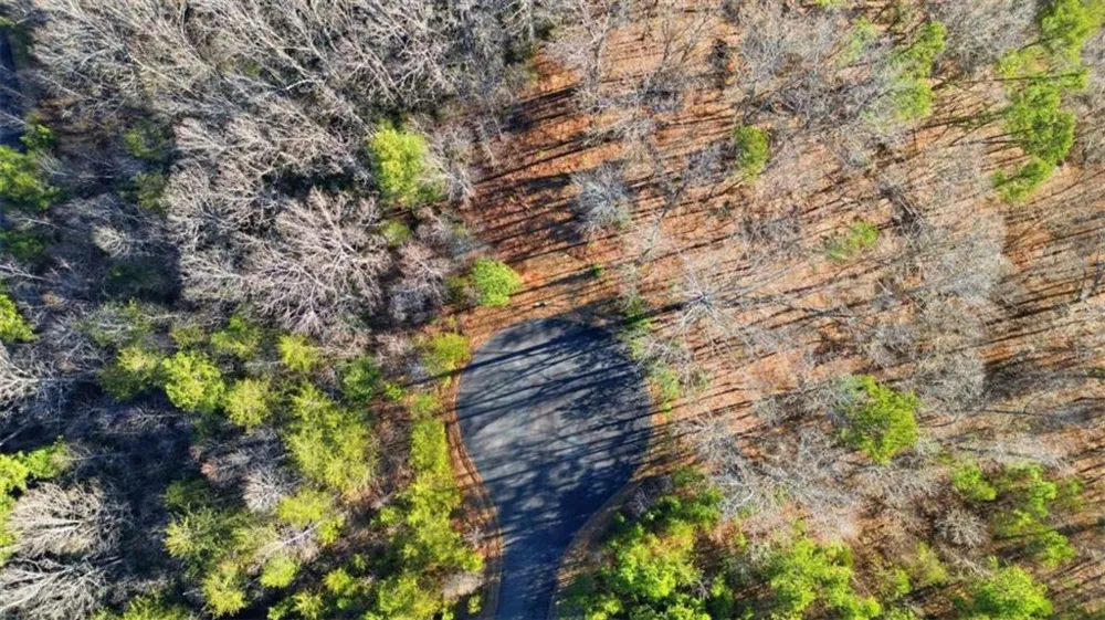 LOT 4 Olde Rockhouse Lane Demorest, GA 30535