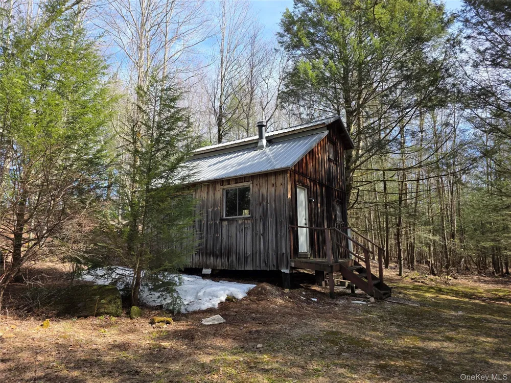 50 Low Road Grahamsville, NY 12640