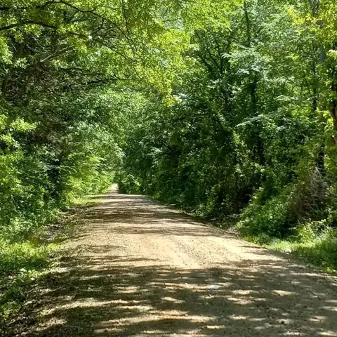 32 County Road 2425