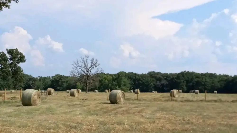 32 County Road 2425 Como, TX 75431