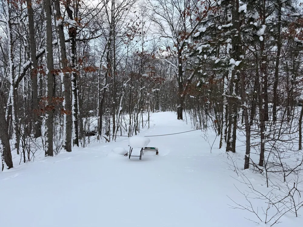 8180 Echo Valley Drive Irons, MI 49644