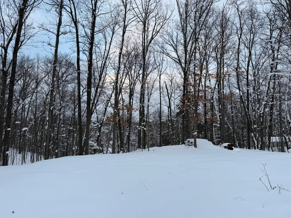 8180 Echo Valley Drive Irons, MI 49644