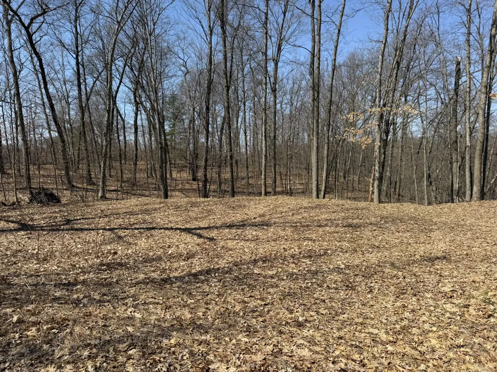 8180 Echo Valley Drive Irons, MI 49644