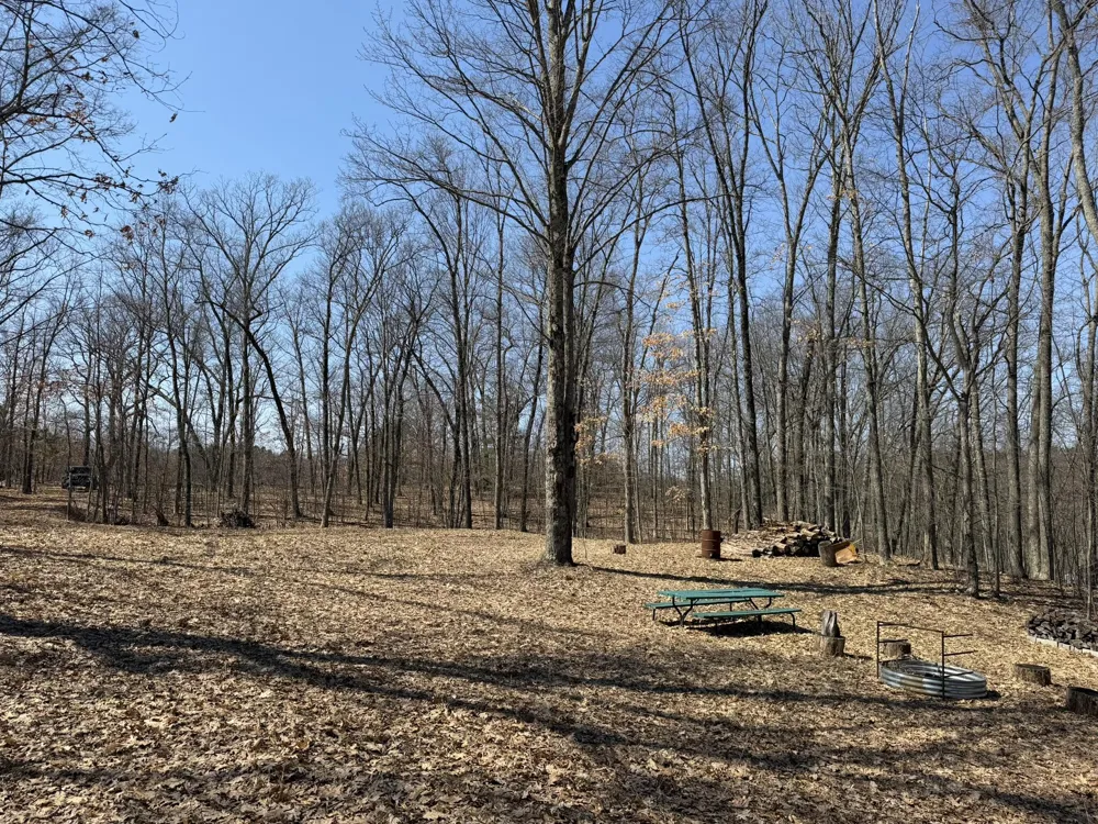 8180 Echo Valley Drive Irons, MI 49644