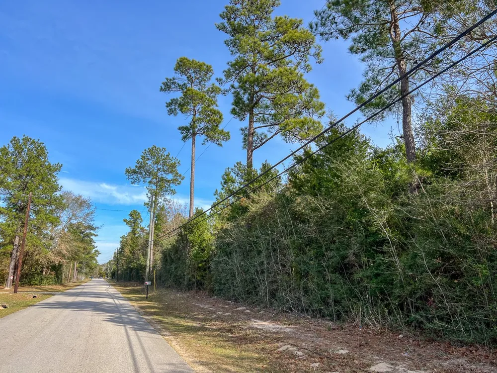 Fresenius Rd Silsbee, TX 77656