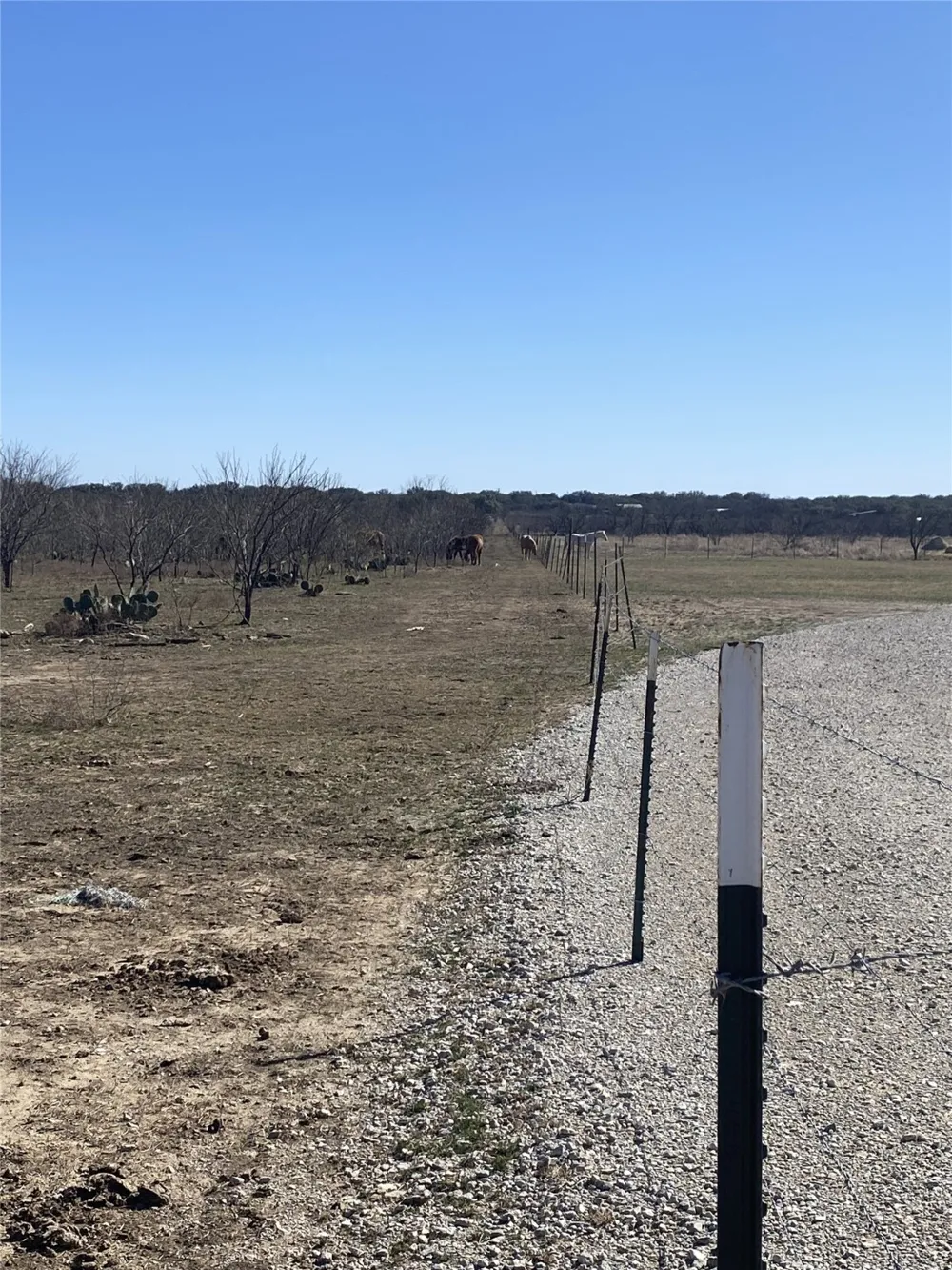 15605 County Road 211 Brookesmith, TX 76827