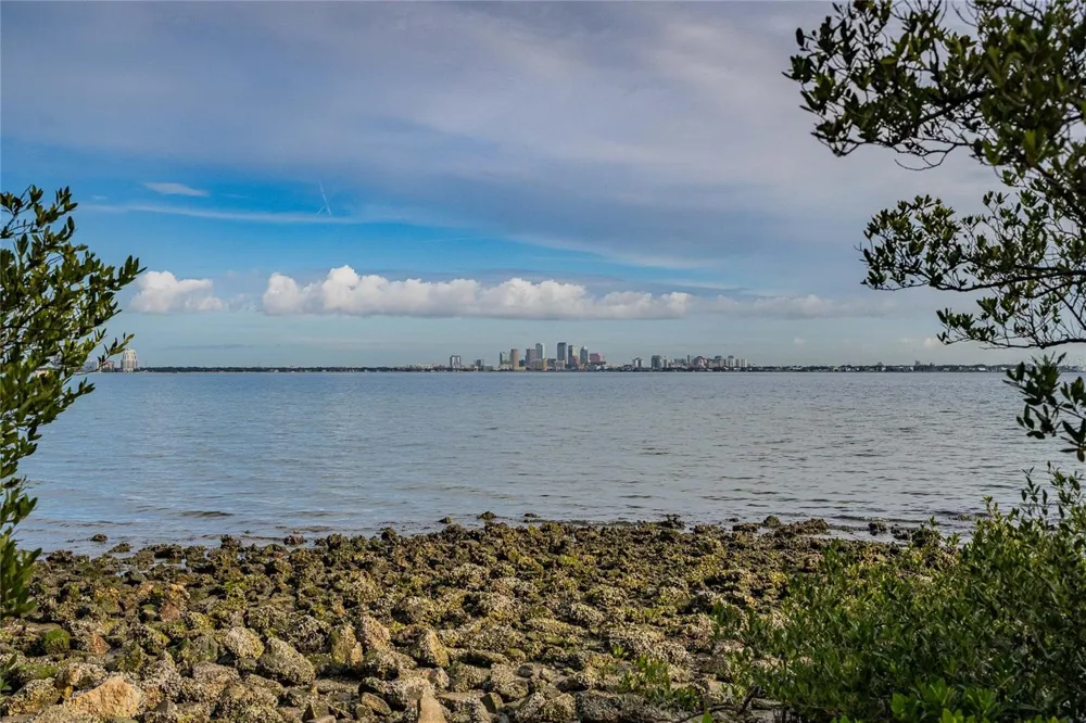 6213 SANDERS DRIVE Tampa, FL 33611