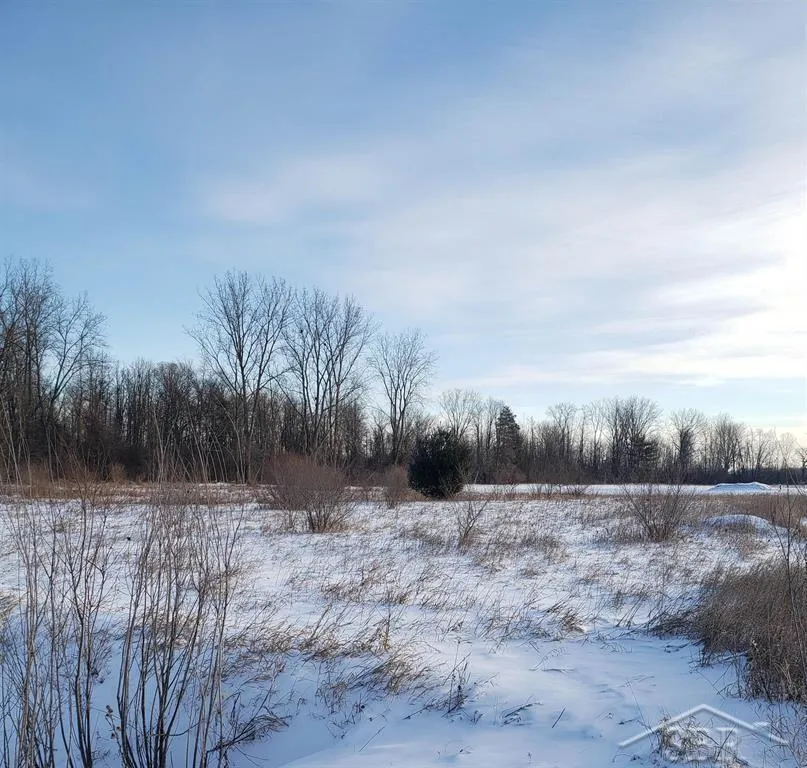 5120 Five Mile Road Hope Township, MI 48628