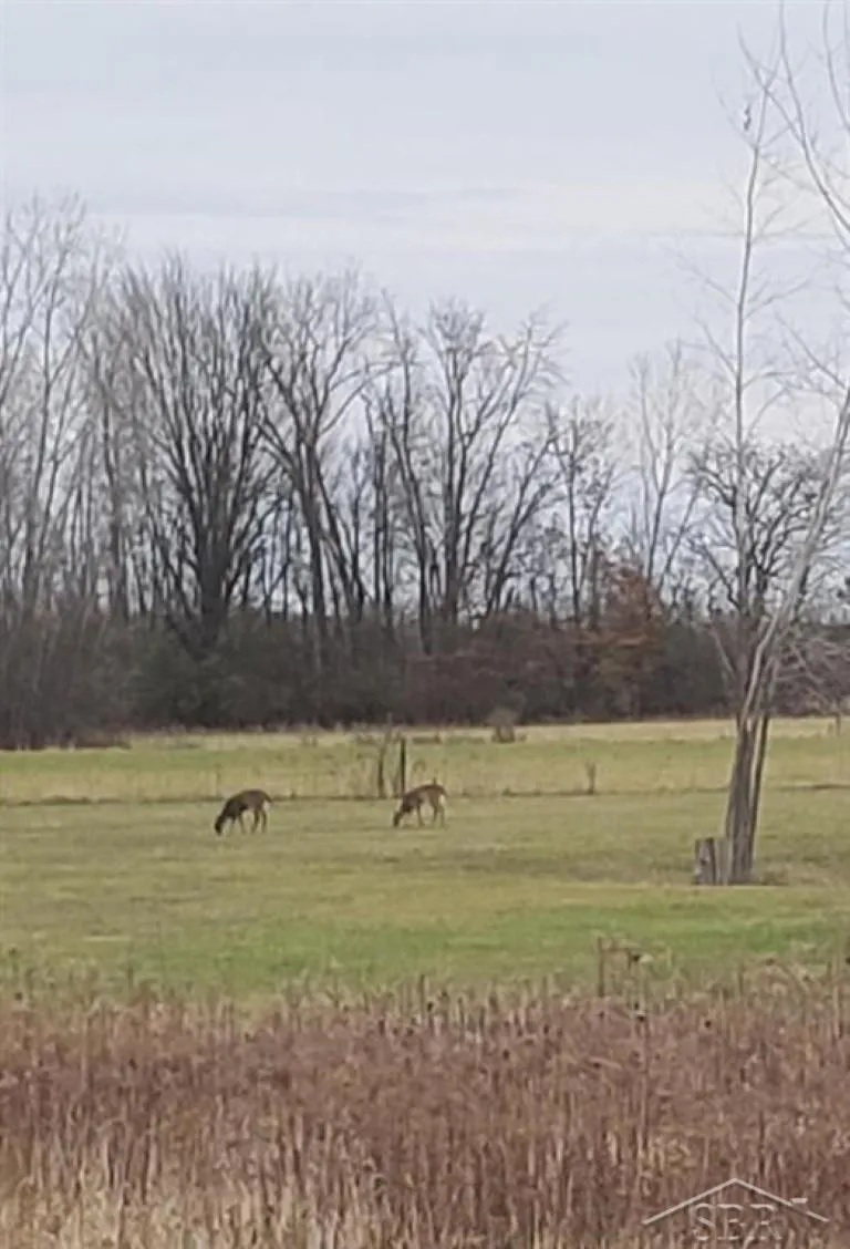 5120 Five Mile Road Hope Township, MI 48628