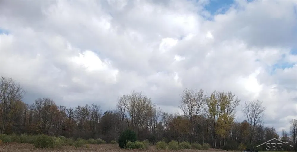 5120 Five Mile Road Hope Township, MI 48628