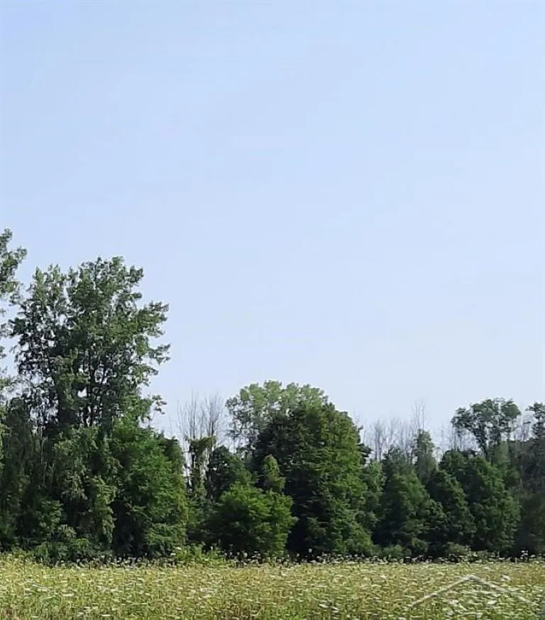 5120 Five Mile Road Hope Township, MI 48628