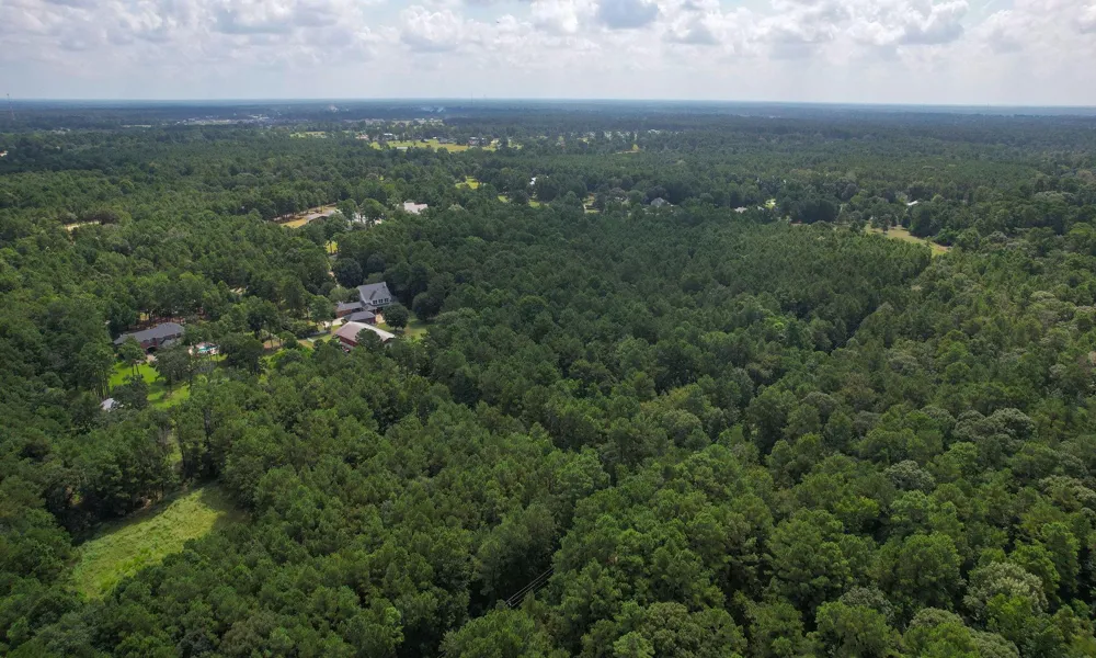 Whispering Meadow Magnolia, TX 77355
