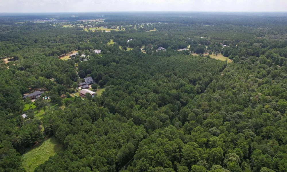 Whispering Meadow Magnolia, TX 77355