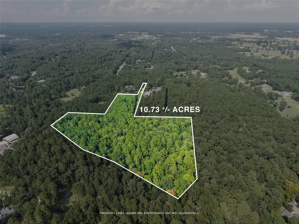 Whispering Meadow Magnolia, TX 77355