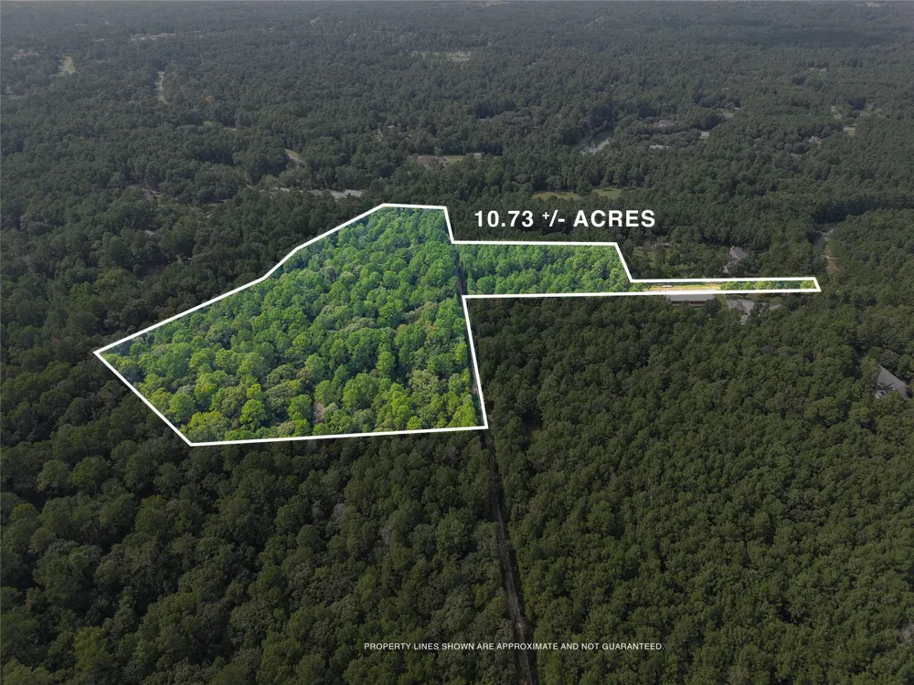 Whispering Meadow Magnolia, TX 77355