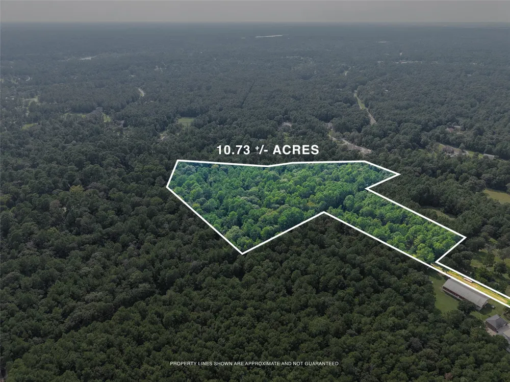 Whispering Meadow Magnolia, TX 77355