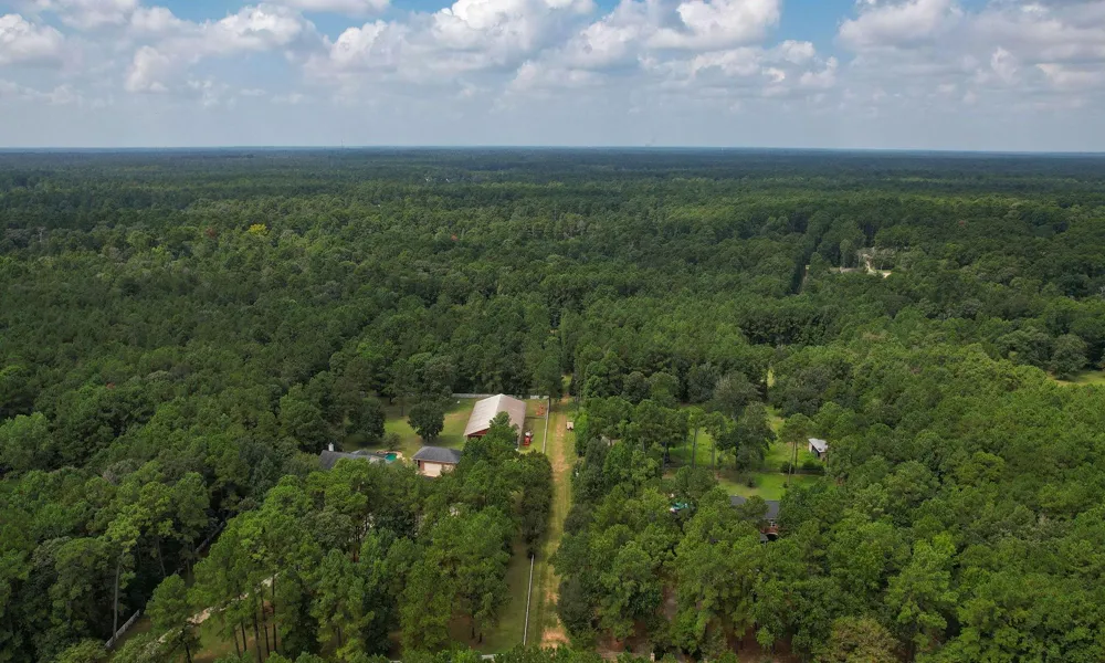 Whispering Meadow Magnolia, TX 77355