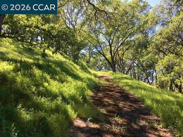 283 Castle Hill Ranch Rd Walnut Creek, CA 94595
