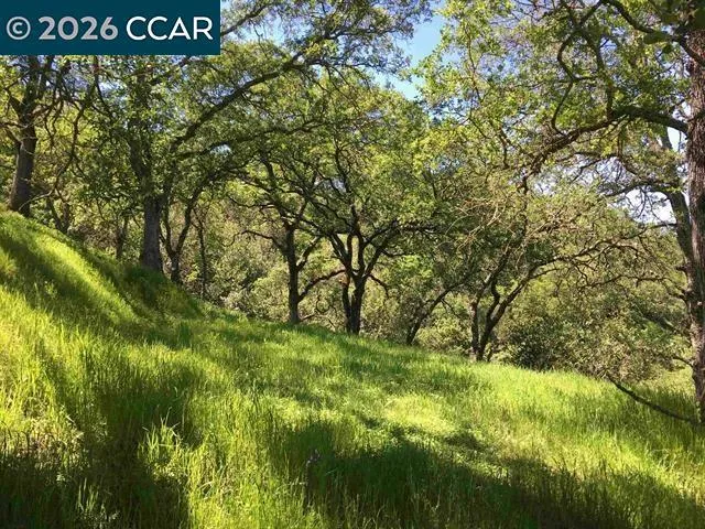 283 Castle Hill Ranch Rd Walnut Creek, CA 94595