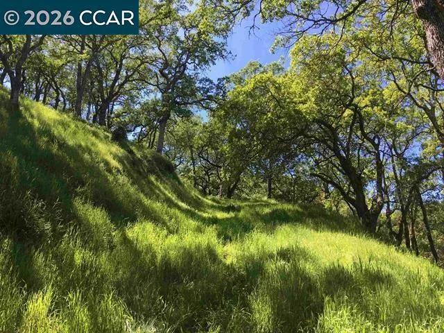 283 Castle Hill Ranch Rd Walnut Creek, CA 94595