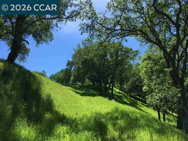 283 Castle Hill Ranch Rd Walnut Creek, CA 94595