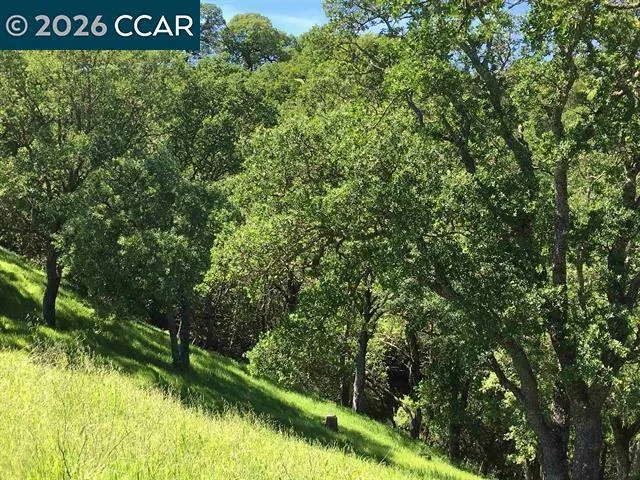 283 Castle Hill Ranch Rd Walnut Creek, CA 94595