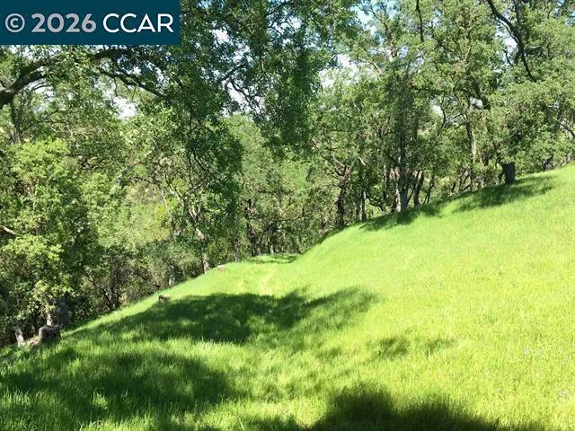 283 Castle Hill Ranch Rd Walnut Creek, CA 94595