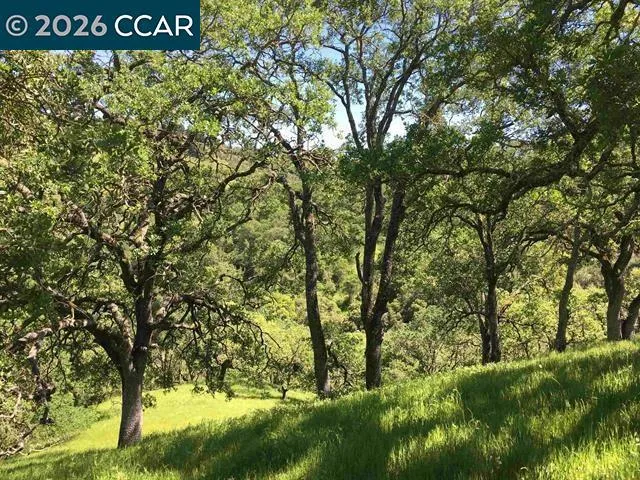 283 Castle Hill Ranch Rd Walnut Creek, CA 94595