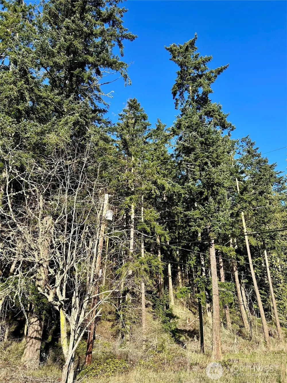55 Vancouver Place Port Townsend, WA 98368