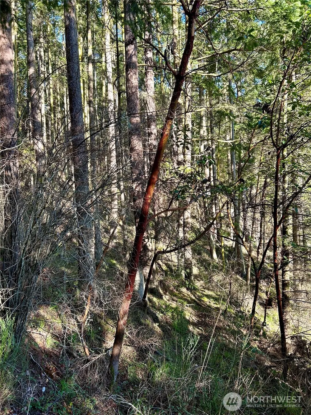 55 Vancouver Place Port Townsend, WA 98368