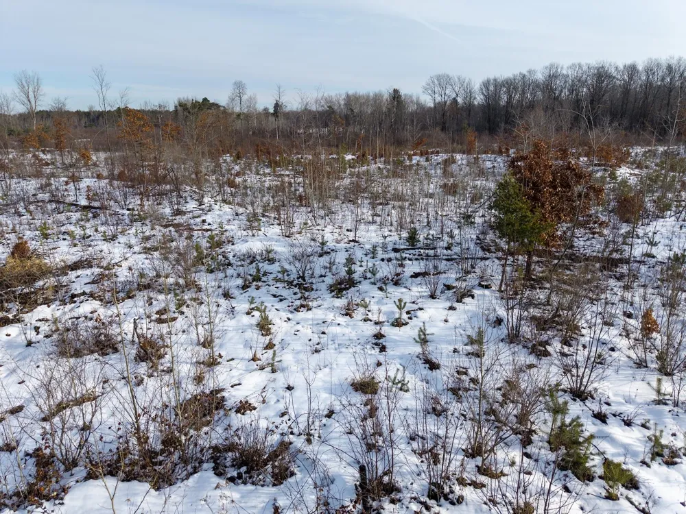 E Monroe Rd. Hart, MI 49420