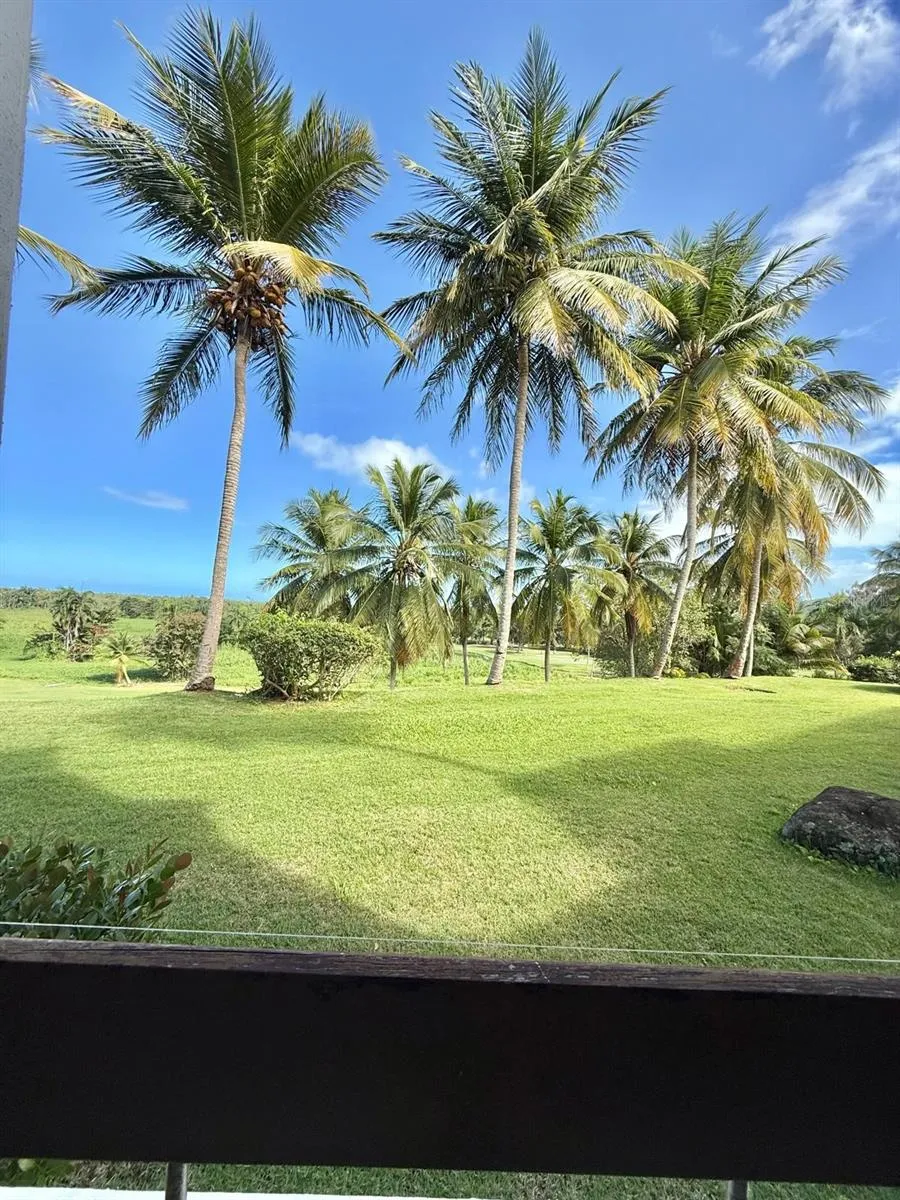 3801 RIO MAR VILLAGE Rio Grande, PR 00745