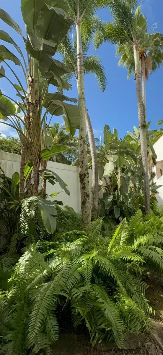 3801 RIO MAR VILLAGE Rio Grande, PR 00745