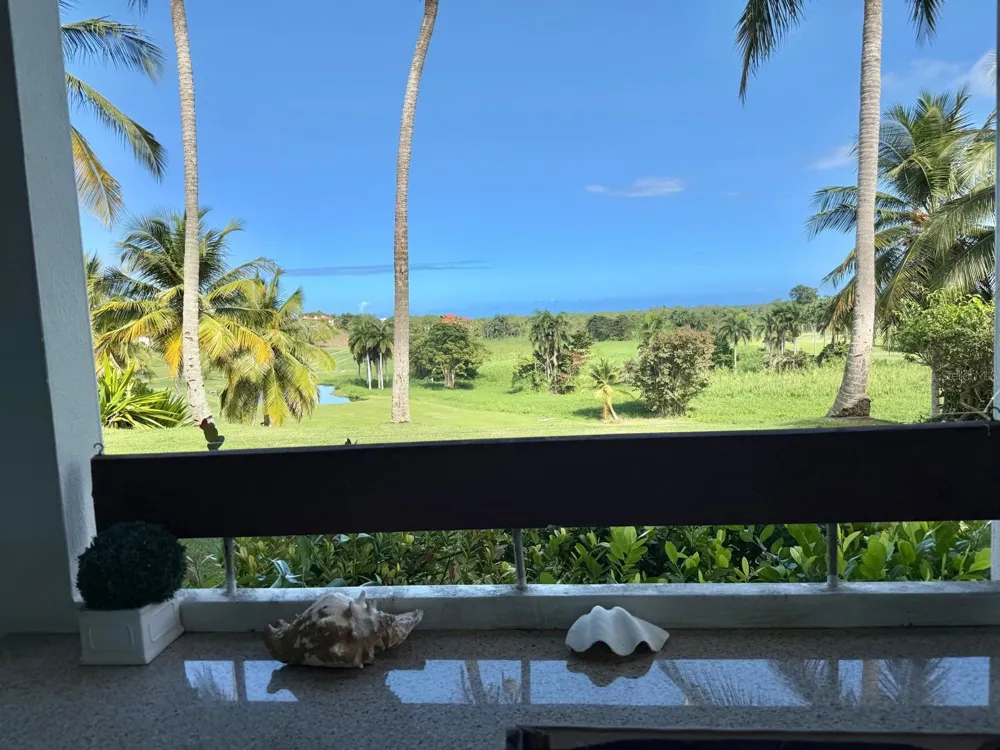 3801 RIO MAR VILLAGE Rio Grande, PR 00745