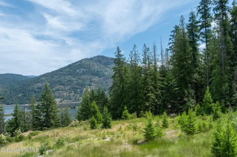 161 FINCH TRAIL