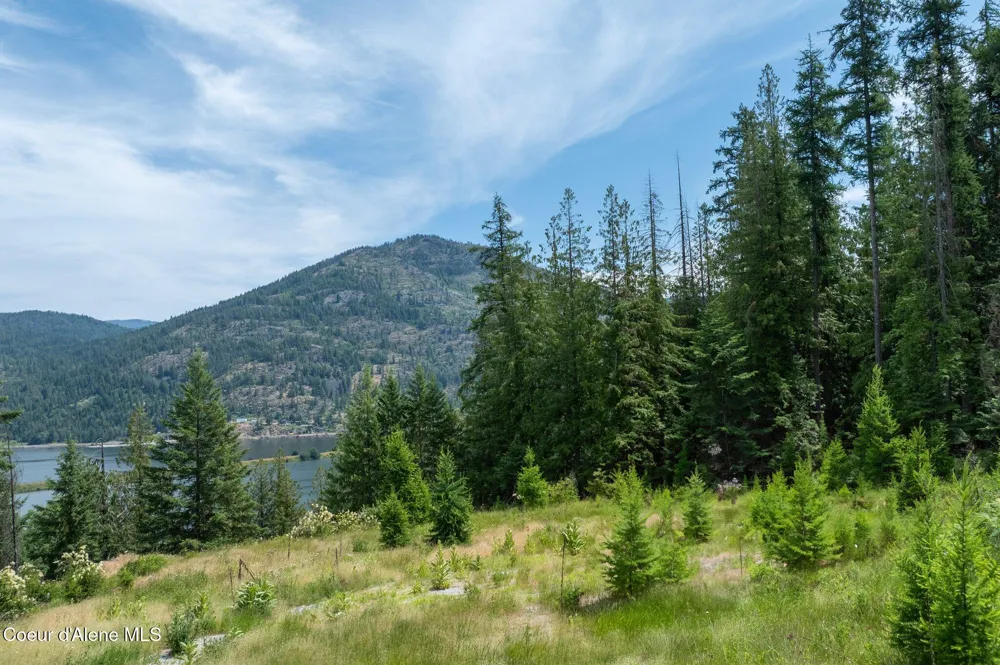 161 FINCH TRAIL Sandpoint, ID 83864