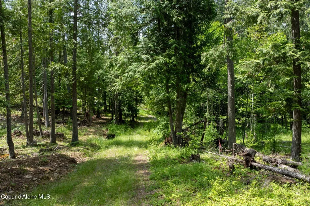 161 FINCH TRAIL Sandpoint, ID 83864