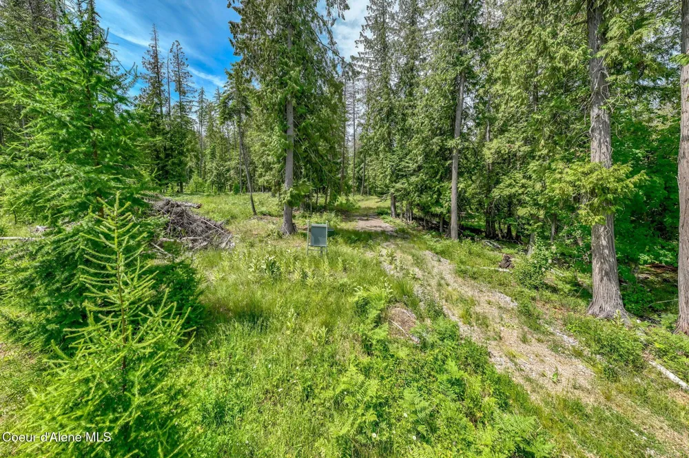 161 FINCH TRAIL Sandpoint, ID 83864