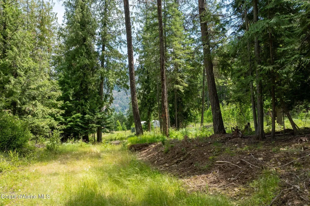 161 FINCH TRAIL Sandpoint, ID 83864