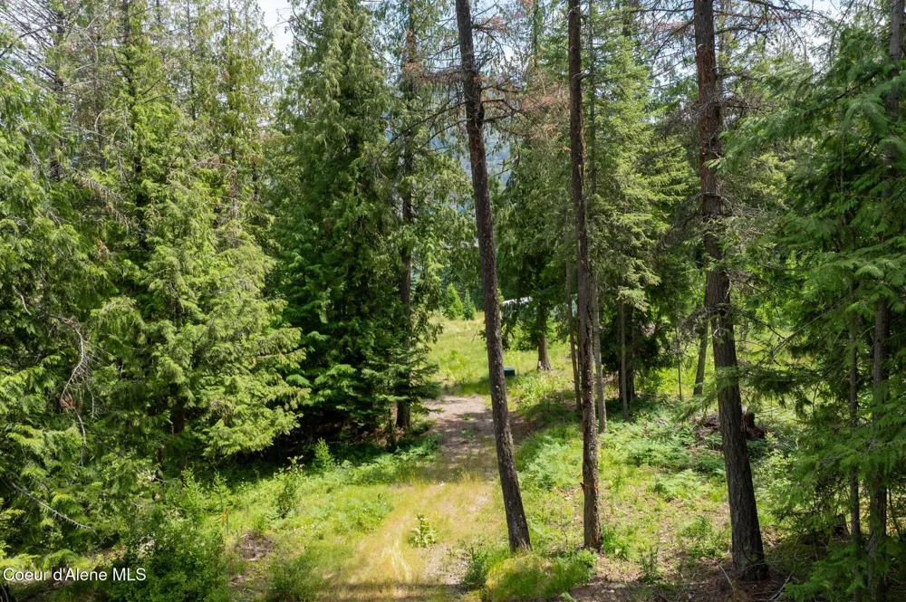 161 FINCH TRAIL Sandpoint, ID 83864