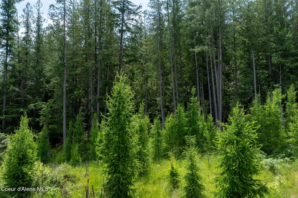 161 FINCH TRAIL Sandpoint, ID 83864