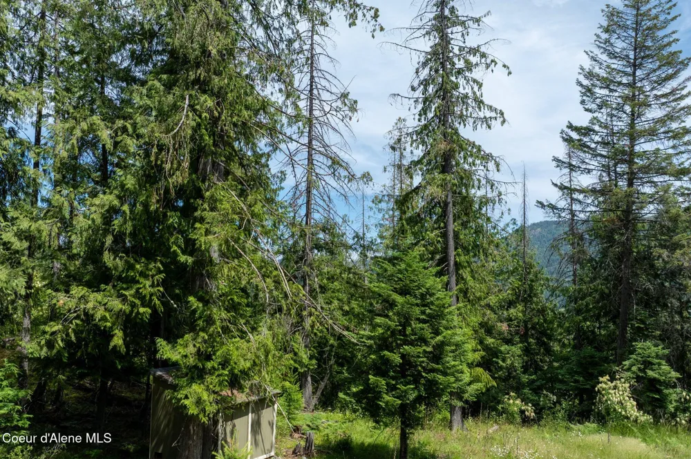 161 FINCH TRAIL Sandpoint, ID 83864