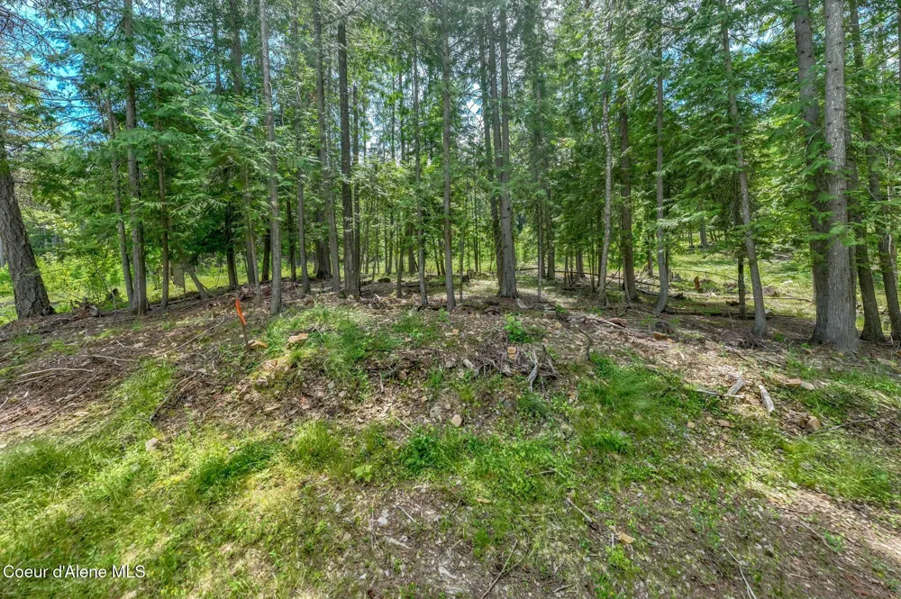 161 FINCH TRAIL Sandpoint, ID 83864