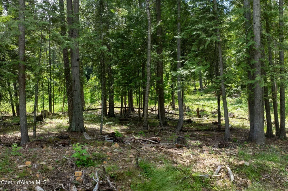 161 FINCH TRAIL Sandpoint, ID 83864