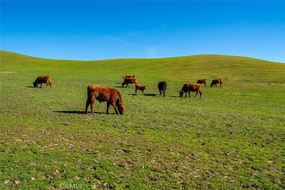 535 Calf Canyon Highway Creston, CA 93432